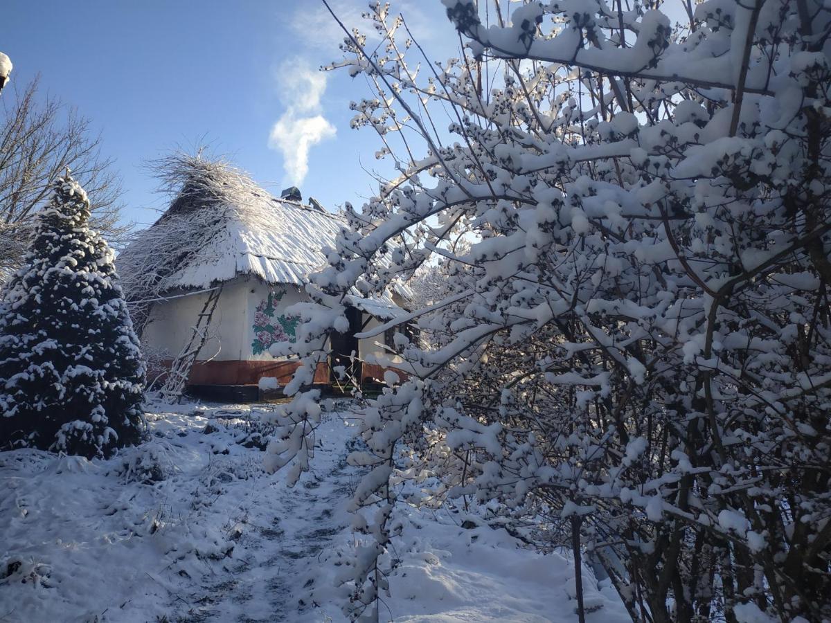 Koryakivskyi Rai Guest House Dmitrenki Exterior photo