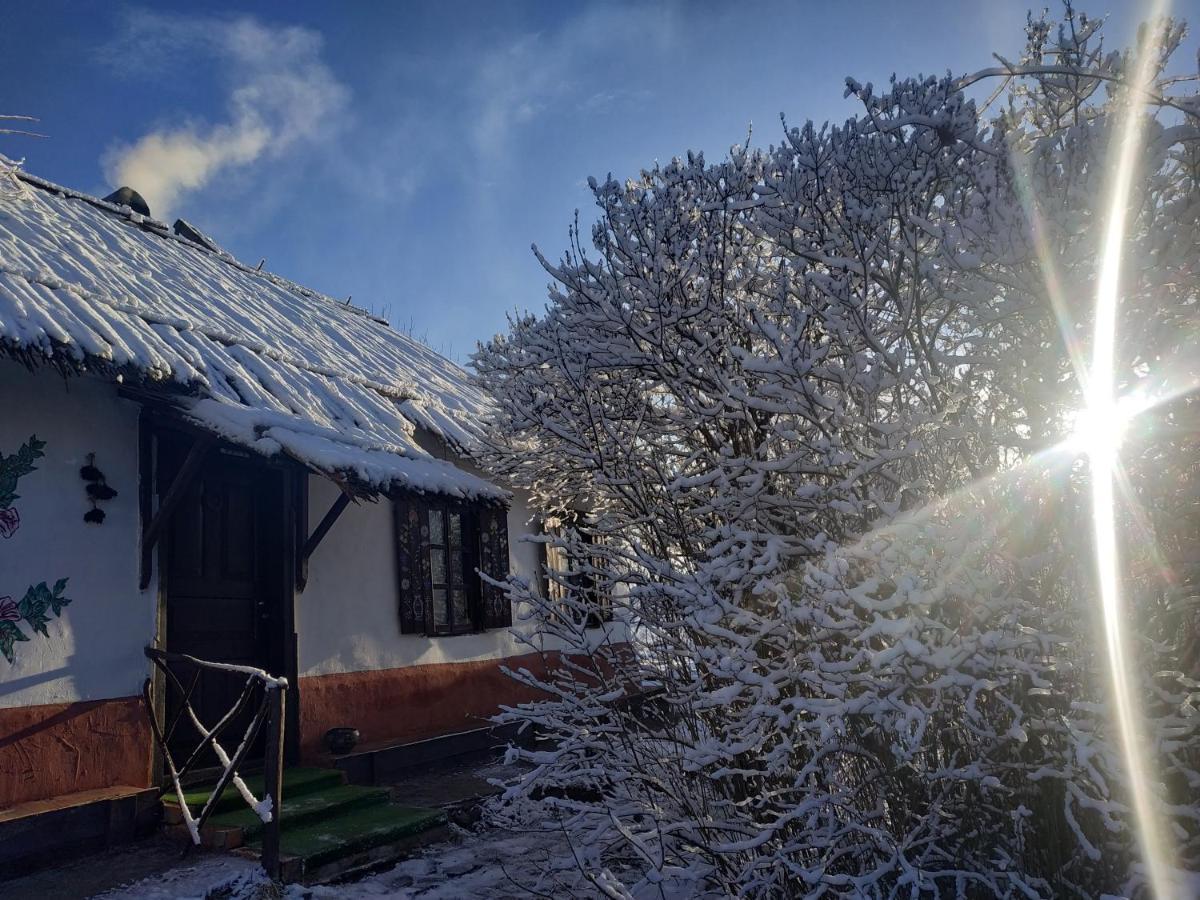 Koryakivskyi Rai Guest House Dmitrenki Exterior photo