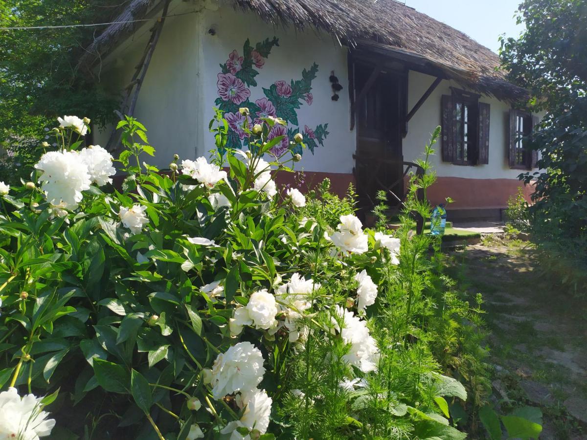 Koryakivskyi Rai Guest House Dmitrenki Exterior photo