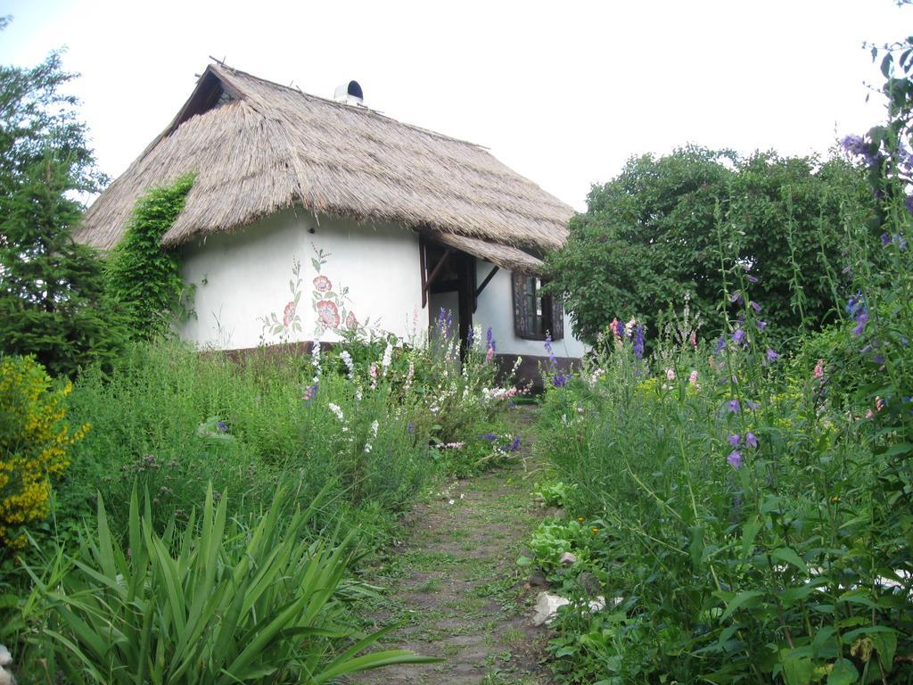 Koryakivskyi Rai Guest House Dmitrenki Exterior photo