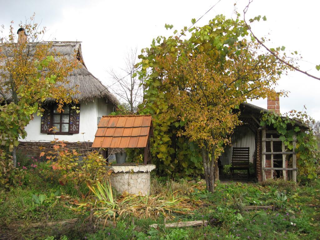 Koryakivskyi Rai Guest House Dmitrenki Exterior photo
