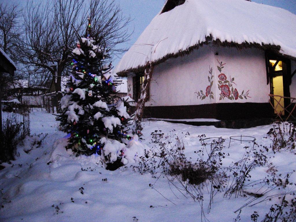 Koryakivskyi Rai Guest House Dmitrenki Exterior photo