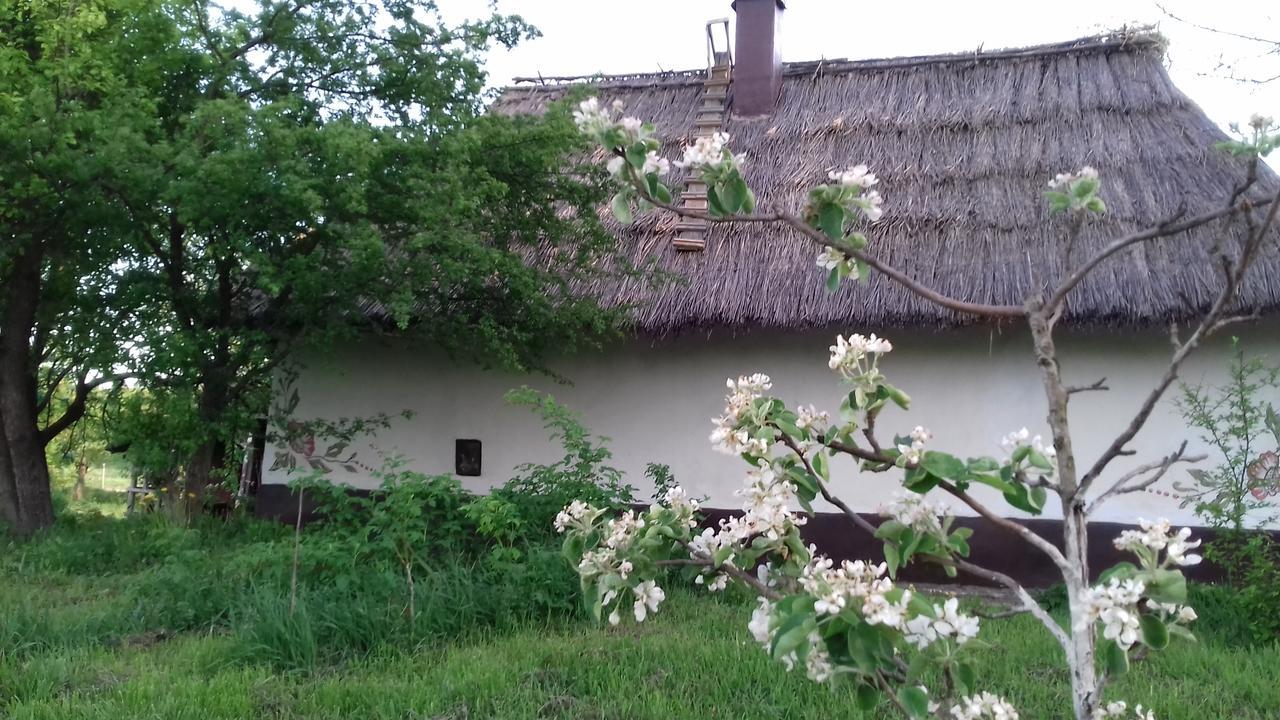 Koryakivskyi Rai Guest House Dmitrenki Exterior photo