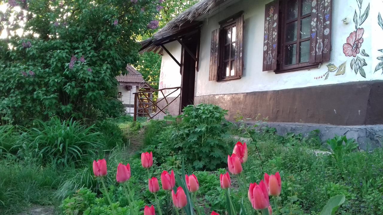 Koryakivskyi Rai Guest House Dmitrenki Exterior photo