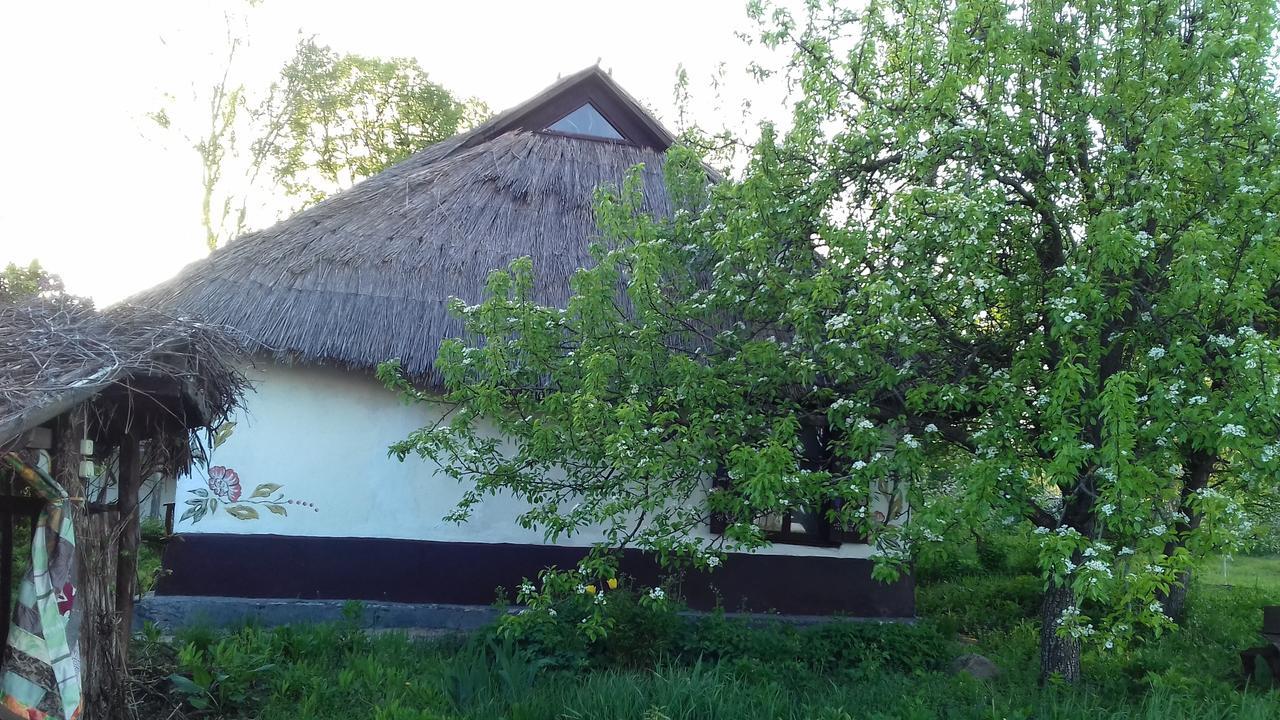 Koryakivskyi Rai Guest House Dmitrenki Exterior photo