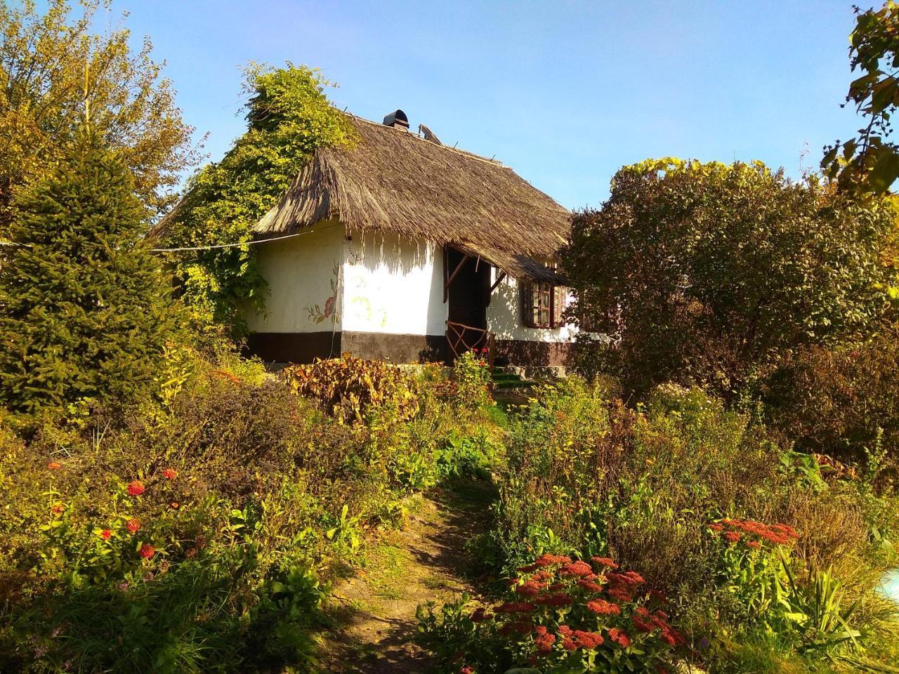 Koryakivskyi Rai Guest House Dmitrenki Exterior photo