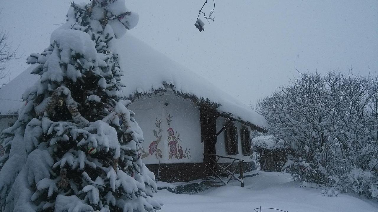 Koryakivskyi Rai Guest House Dmitrenki Exterior photo